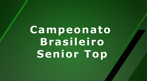 Representantes paulistas no Campeonato Brasileiro