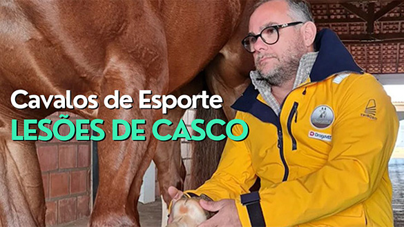 Lesões no Casco de Cavalos de Esporte - Insights 