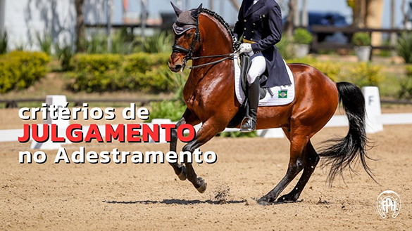 Os Novos Critérios de Julgamento no Adestramento
