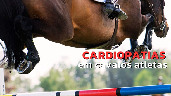 Cardiopatias em Cavalos Atletas