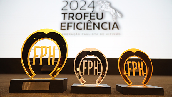 Troféu Eificiência 2024: uma experiência