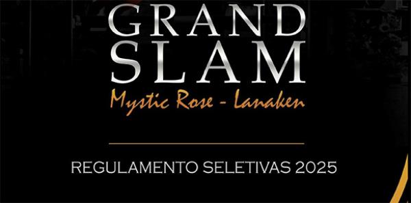 Regulamento Seletiv