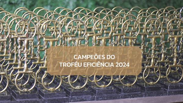 Os Campeões do Troféu Eficiência 2024