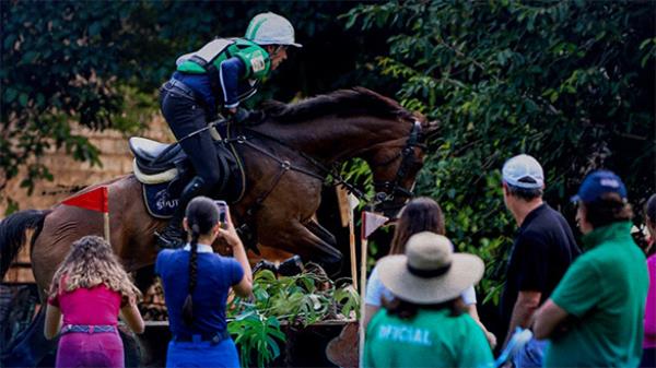Curso de Formação para Steward de Hipismo Complet