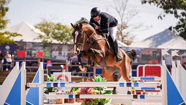 Veja os campeões do Sul-Americano de Cavalos Novo