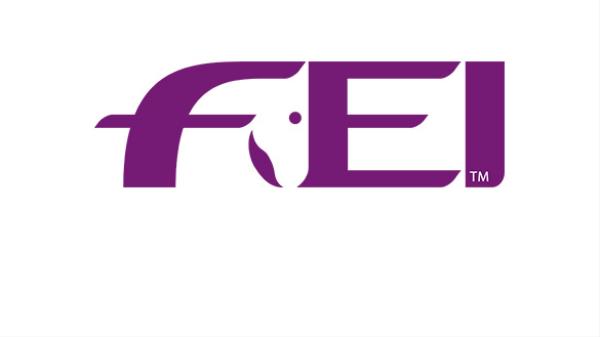 Curso FEI para promoção de Juiz Internacional de 