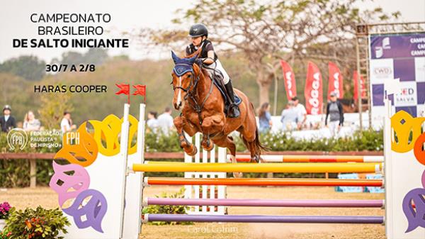 Programa Campeonato
