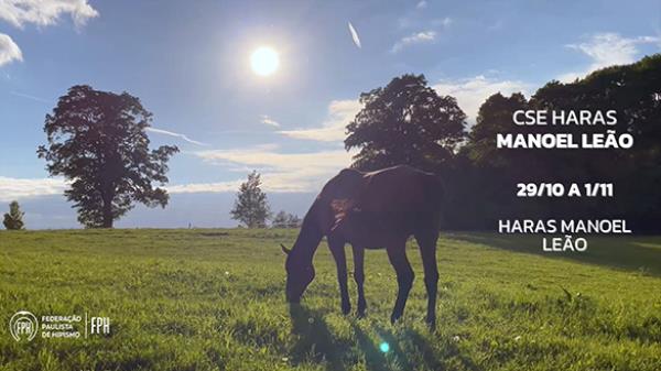 Programa CSE Haras 