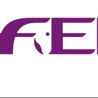 Curso FEI para prom