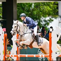 Novo Quadro 7ª etap