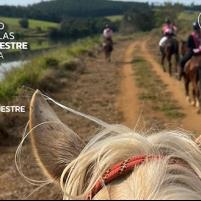 Programa 5ª etapa C