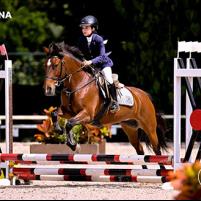 Programa 1ª Etapa M