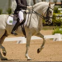 Programa CDI / CAN 