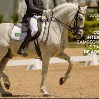 Programa CDI / CBA 